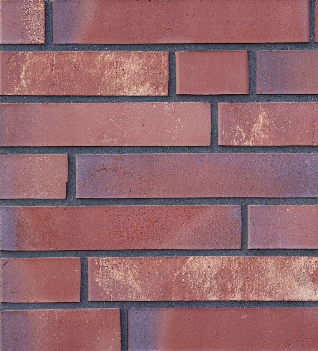 img24.jpg