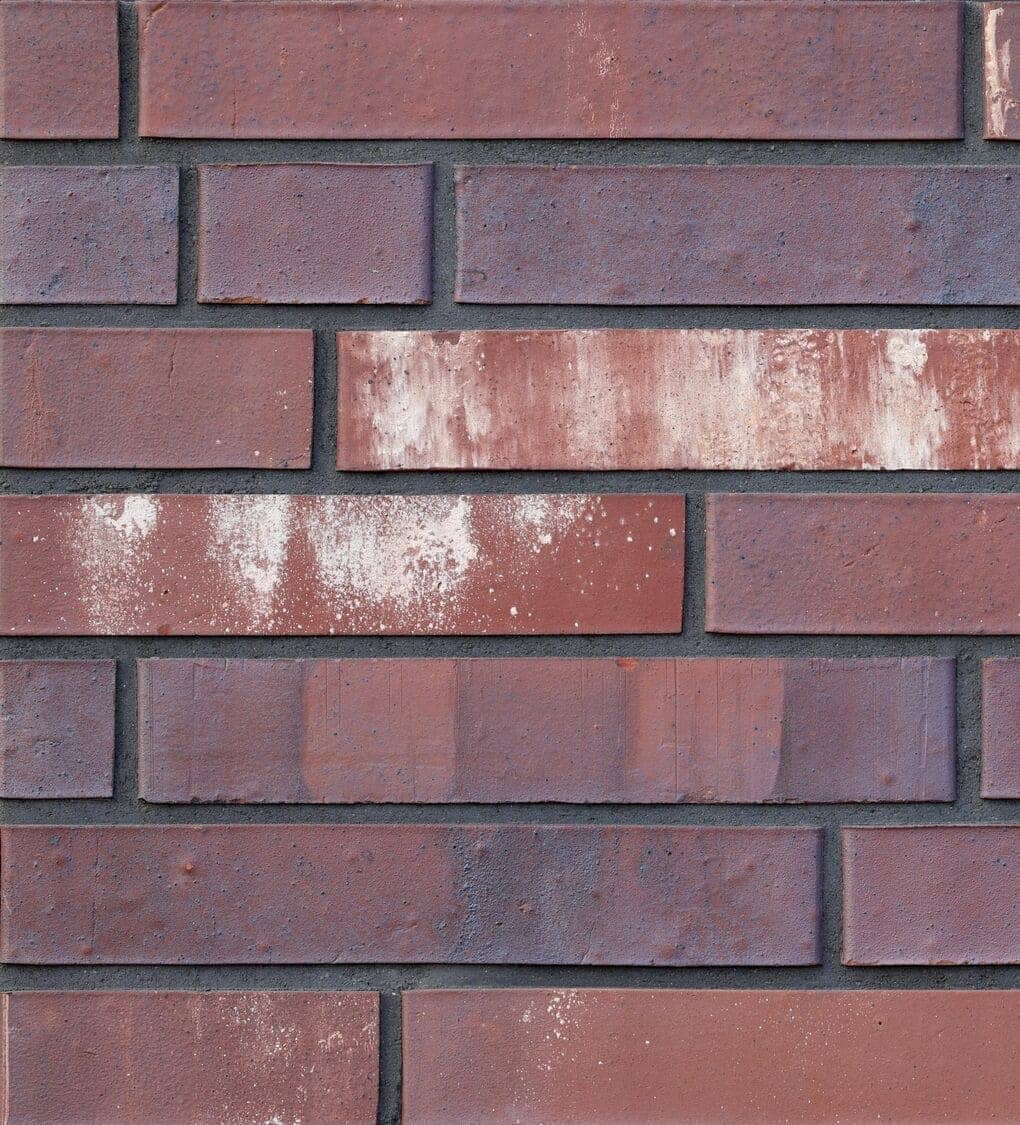 img25.jpg